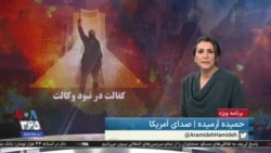 ویژه برنامه: کفالت در نبود وکالت