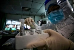 FILE - This photo taken March 10, 2020, shows a medical staff member holding samples from patients infected by the COVID-19 coronavirus before a nucleic acid test at Red Cross Hospital in Wuhan in China's central Hubei province.
