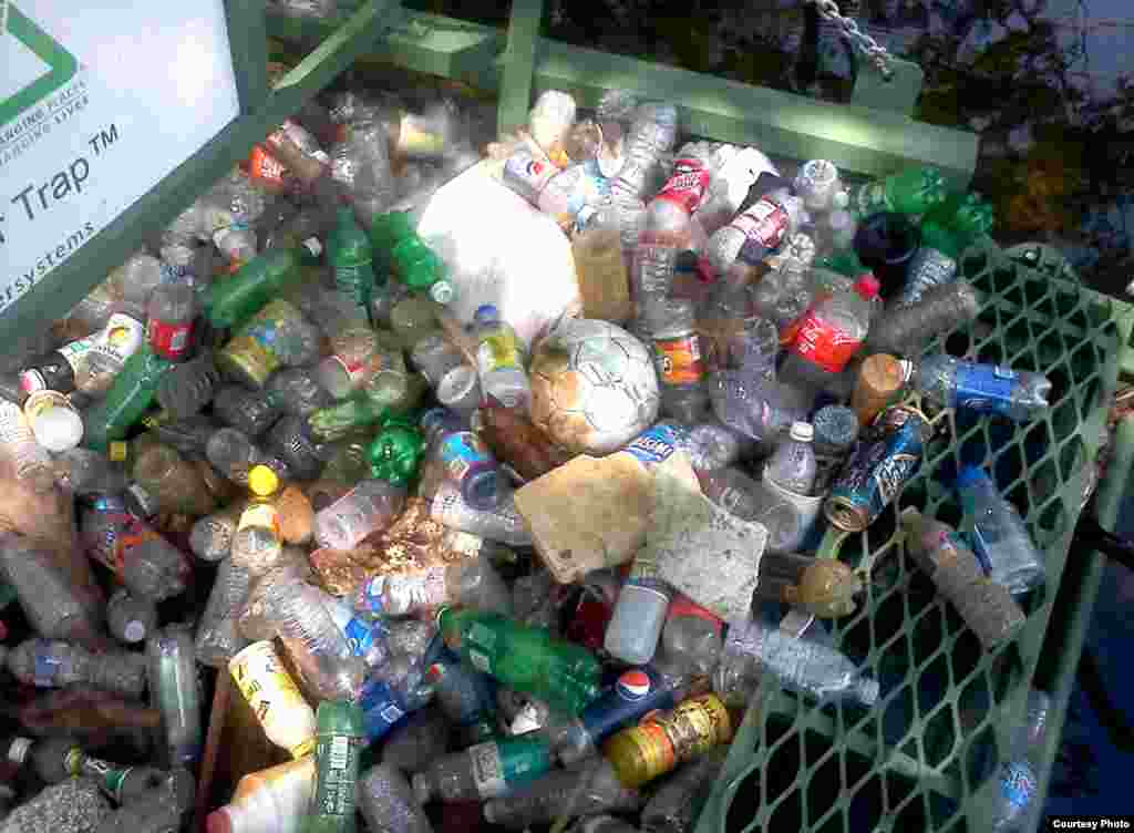 While plastic bottles remain a major problem, a law that puts a fee on disposable bags has dramatically helped reduce the number of plastic bags in the river. (Groundwork Anacostia River DC)