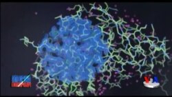 Alsgeymer kasalligiga davo izlab...