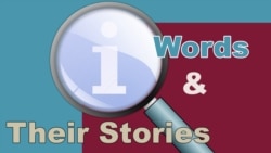 Life on the Edge of Society -- the Lunatic Fringe