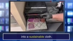 News Words: Sustainable