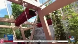 راه‌حل‌های تازه برای خنک‌کردن فضاهای داغ درون شهری؛ کاشت عمودی به زمین چندانی نیاز ندارد