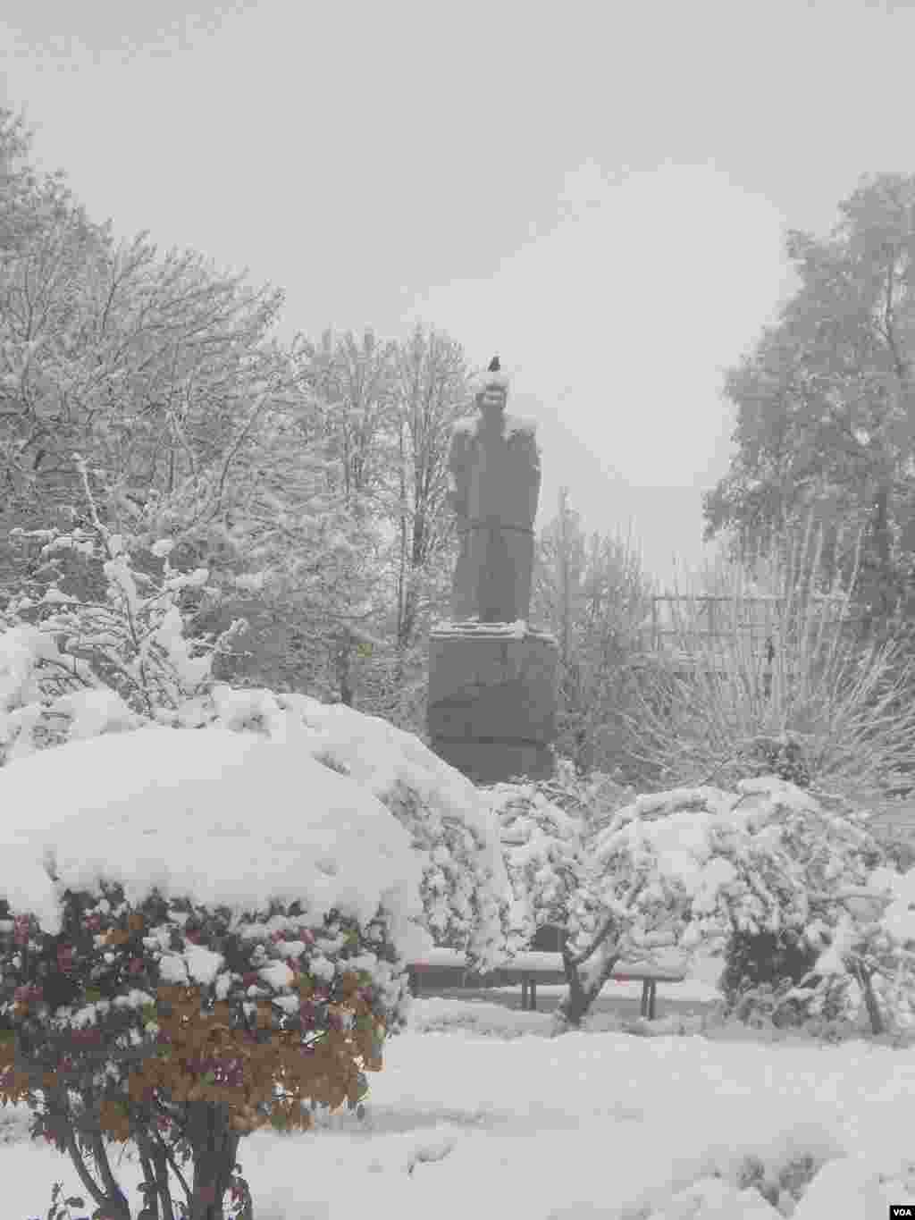 O'shda qor yog'di... Qish manzaralari