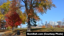 Governors Island National Monument, a former military base, is now a scenic stretch of undeveloped land with spectacular views of the Manhattan skyline.