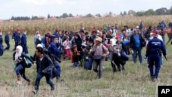 Yevropa: qochqinlar oqimi davom etmoqda