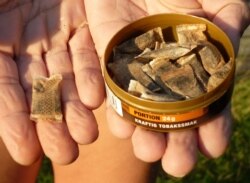 FILE - A woman shows portions of snus, a moist powder tobacco product that is consumed by placing it under the lip, in Stockholm, Aug. 6, 2009.
