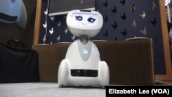 Badi - robot francuske kopanije Blue Frog Robotics 