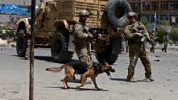 Obama Afg'onistonda qo'shin qoldirib to'g'ri qildimi? - Shohruh Hamro