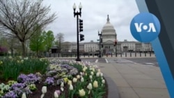 Karantindagi Vashington