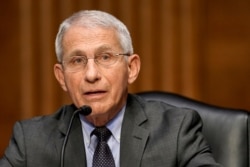 Dr. Anthony Fauci, director of the National Institute of Allergy and Infectious Diseases, speaks during a Senate Health, Education, Labor and Pensions Committee, May 11, 2021.