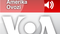 Amerikada bugungi iqtisod - Navbahor Imamova 