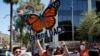 Protesters chant in front of the U.S. Immigration and Customs Enforcement building during a rally after the U.S. Supreme Court ruled on the Deferred Action for Childhood Arrivals program, in Phoenix, June 18, 2020.