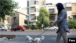 پیش از این سگ گردانی در پارک‌های لواسان تهران ممنوع اعلام شده بود.